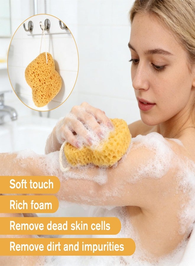 Zelphvt 3 Pcs Sea Sponges for Shower, Larger Natural Sponges for Body Women Men Exfoliating Body Wash Sponge Gentle Deep Cleansing, Ultra-Soft - Image 5