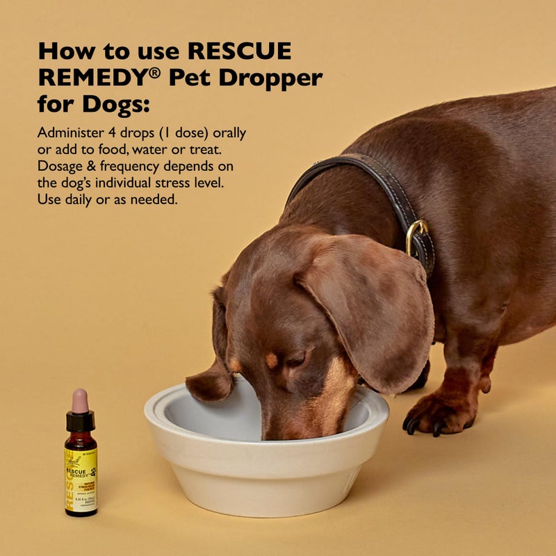 Bach Rescue Remedy Pet Dropper for Dogs - 20 mL - Stress & Tension Support for Dogs with Bach Natural Flower Essences - Sedative-Free, Homeopathic Liquid Formula - For All Breeds, Ages & Weights - Image 3