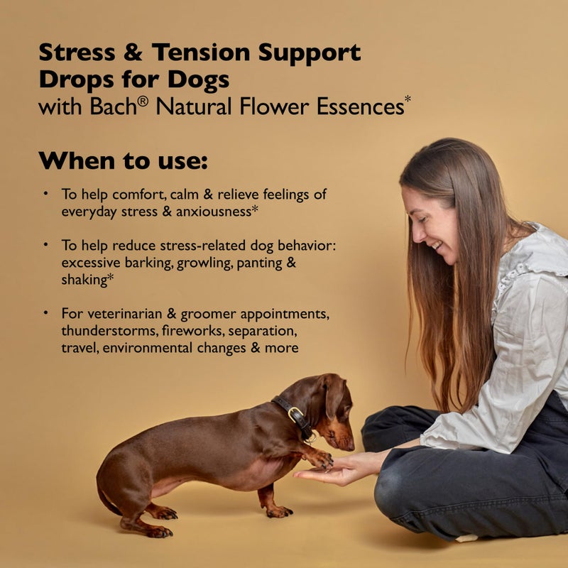 Bach Rescue Remedy Pet Dropper for Dogs - 20 mL - Stress & Tension Support for Dogs with Bach Natural Flower Essences - Sedative-Free, Homeopathic Liquid Formula - For All Breeds, Ages & Weights - Image 2