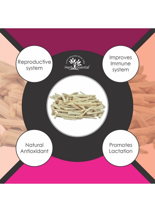 Herb Essential شاتافاري الأساسي بالأعشاب 50 جرام (عبوة من 2) نقي وطبيعي | صحة المرأة | مسحوق الهليون المتسلق | مجدد للفاتا والبيتا | مكمل عشبي - Image 5