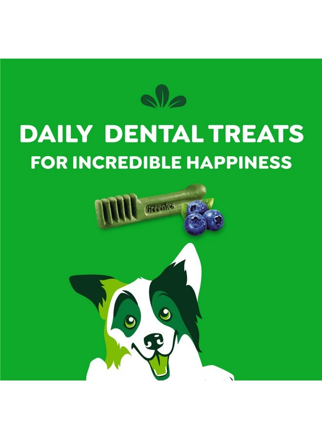 Greenies Regular Natural Dental Care Dog Treats Blueberry Flavor, 12 oz. Pouch (12 Treats) - Image 5