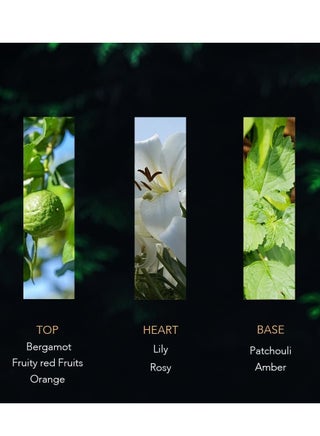 عطر شباب أكوا 80 مل - عطر طويل الأمد للرجال والنساء - view 3