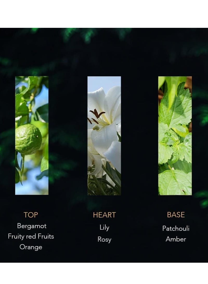 نسيم عطر شباب أكوا 80 مل - عطر طويل الأمد للرجال والنساء - Image 3