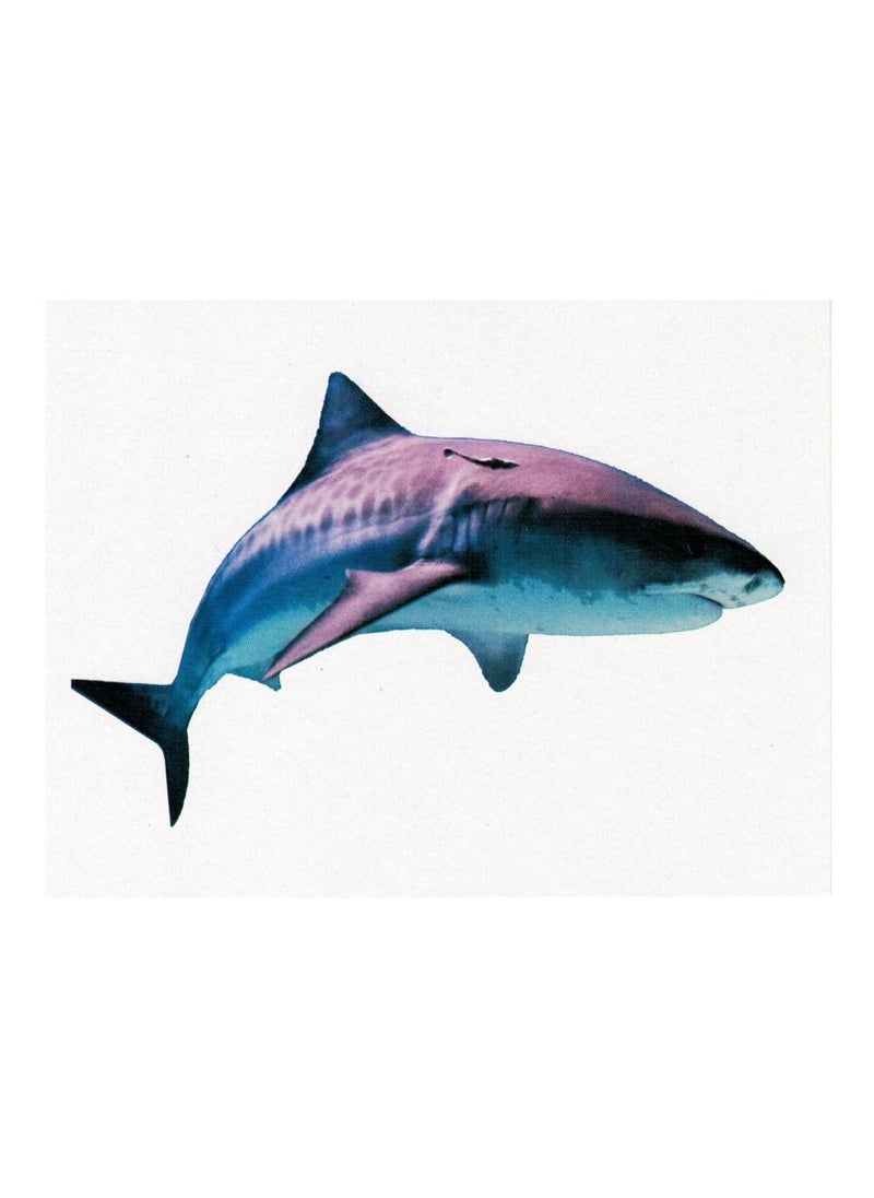 Flash - Educational Cards Marine Organisms - Image 1