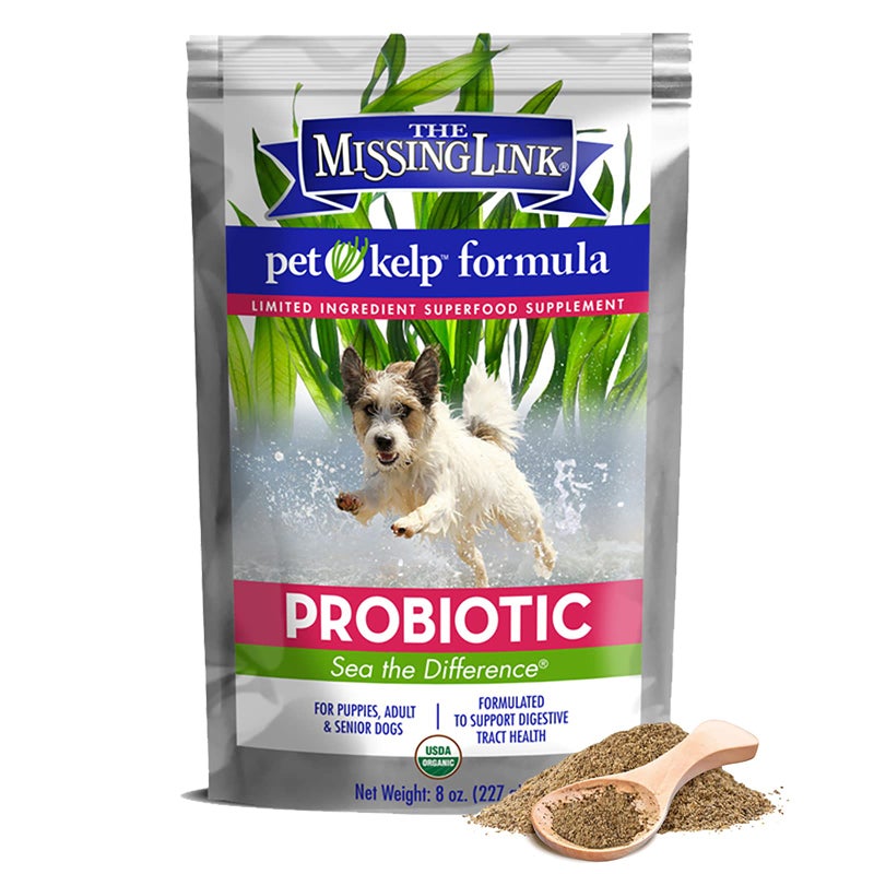 The Missing Link Pet Kelp Canine Probiotic 8oz Superfood Powdered Supplement, Organic & Limited Ingredient Formula for Digestive Health of Dogs - Image 1