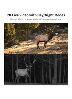 Generic 4G LTE Cellular Trail Cameras, Gen 3.0, 360° Full View, 2K Live Streaming, Solar Powered, Remote Phone Access, Night Vision, Motion Activated Game/Deer Camera, IP65 Waterproof (No SD & SIM)  - Image 4