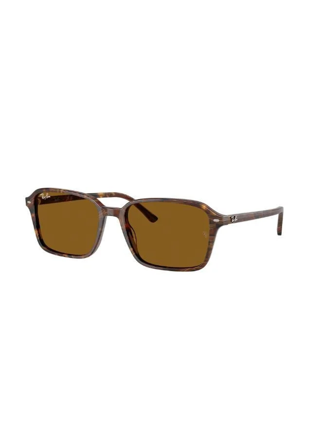 راي بان 0Rb2231 Rectangular Sunglasses