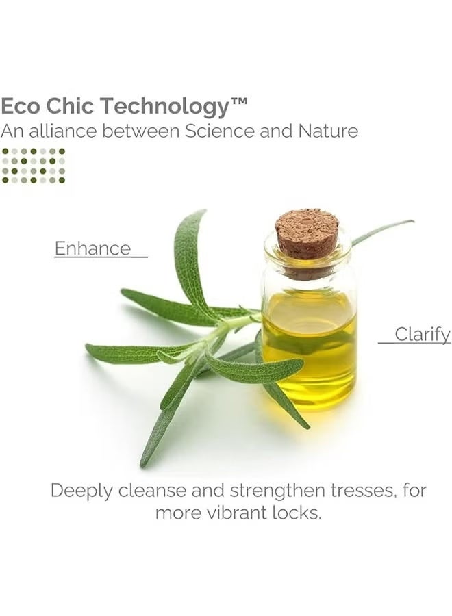 جيوفاني بلسم شجرة الشاي المنعش، لجميع أنواع الشعر، 250 مل - Image 2