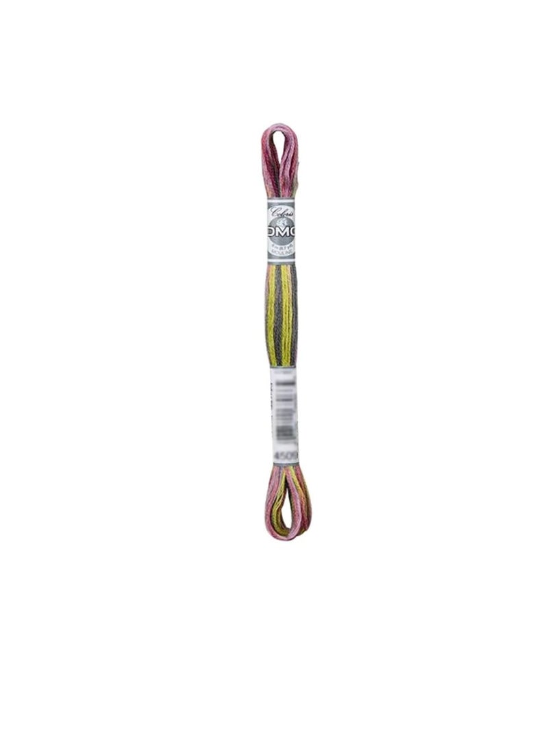 DMC DMC Coloris 6-Strand Embroidery Cotton Floss 8.7 yard Wildflowers  - Image 3