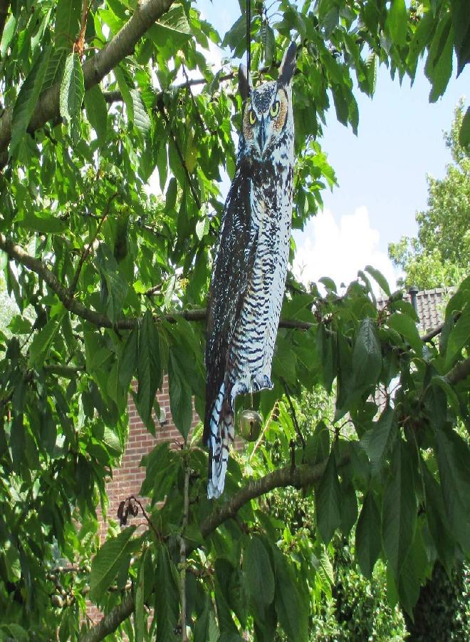 Esschert Design FB142 Owl Scare Crows Decoy - Image 2