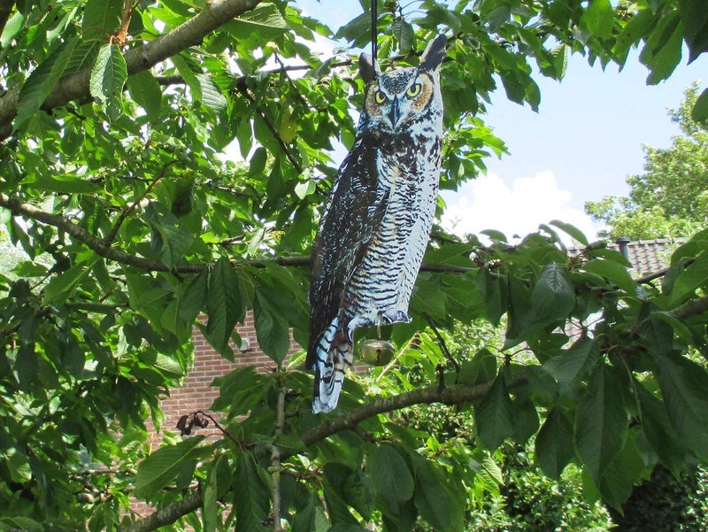 Esschert Design FB142 Owl Scare Crows Decoy - Image 1