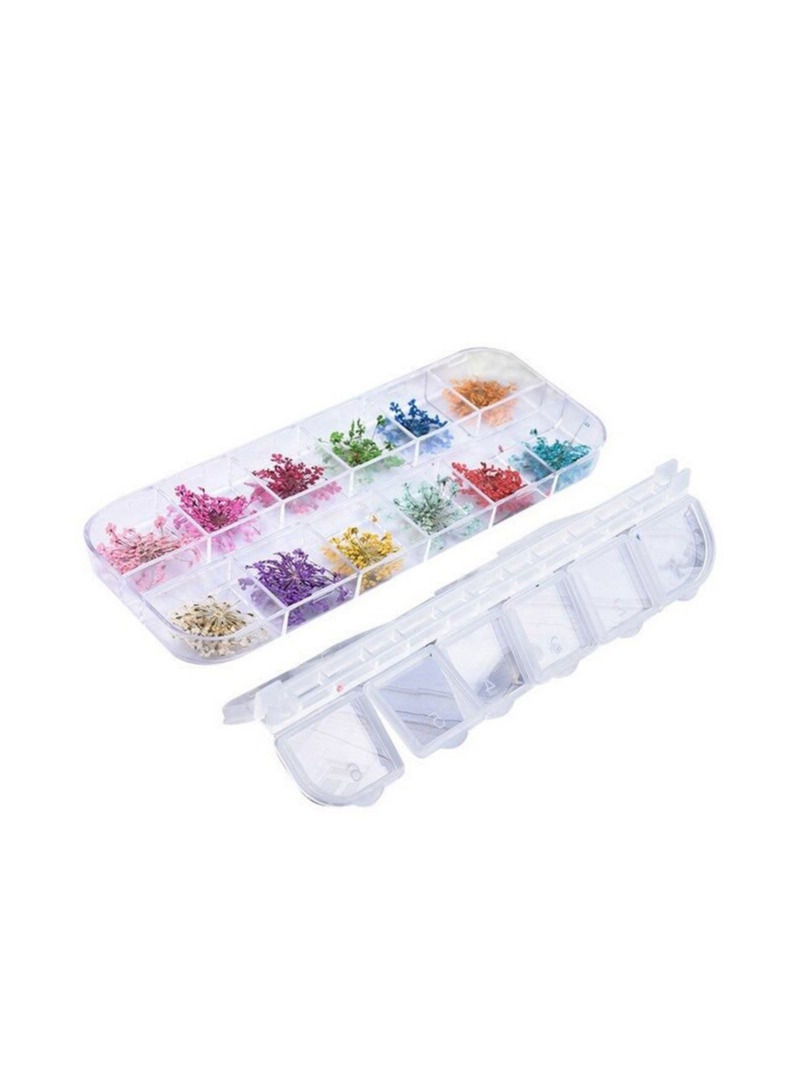 نباتات مجففة ملونة لاشغال الريزن ارت عدد 36 حبة - Image 1