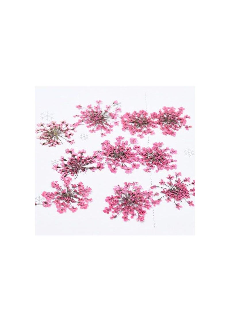 نباتات مجففة ملونة لاشغال الريزن ارت عدد 36 حبة - Image 2