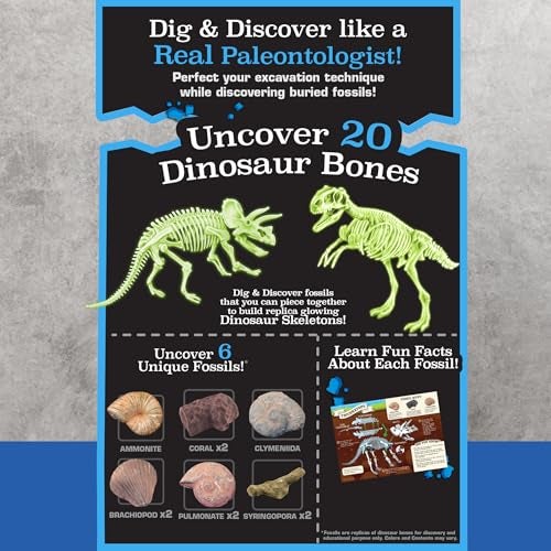 ArtSkills Epic Lab Dinosaur Fossil Digging Kit for Kids Glow in The Dark Dinosaur Bones for Kids to Dig Up Gifts for Boys 812 - Image 5