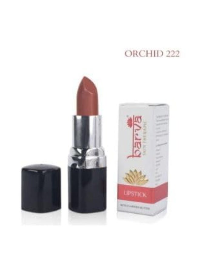 Barva Simple Makeover Kit – Ghee Enriched Makeup Combo | BB Cream 10ml, Kajal, Beige Foundation 9g & Lipstick (Orchid 222)4.3g | Complete Makeup Kit for Women | Daily & Travel Use - Image 3