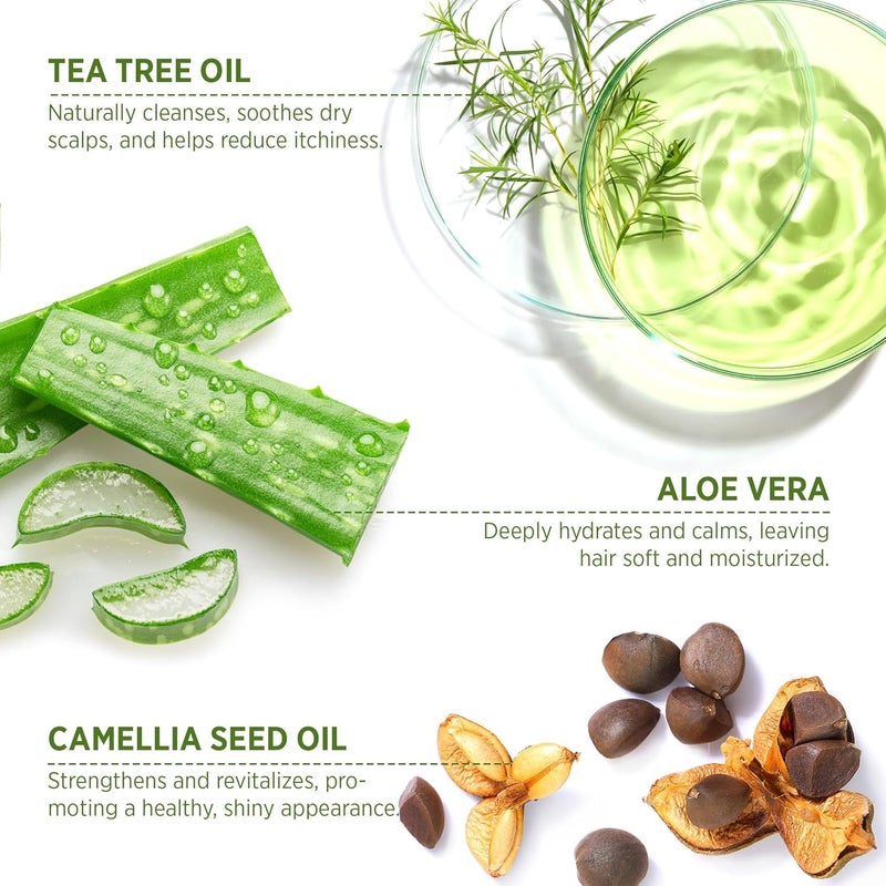 Roycederm Tea Tree Antifungal Shampoo and Conditioner: Complete Scalp Care Solution for Folliculitis, Dry, Itchy, and Flaky Scalp - Infused with Tea Tree Oil, Paraben & Sulfate Free - Image 3