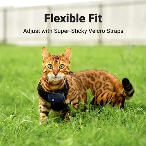 Tractive GPS Cat Mini Tracker Harness Attachment, for Cat Walks with Peace of Mind, Velcro Straps - Image 3