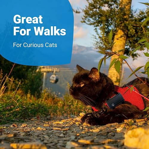 Tractive GPS Cat Mini Tracker Harness Attachment, for Cat Walks with Peace of Mind, Velcro Straps - Image 5