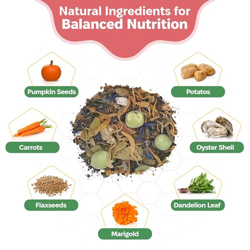 Snout and Shell Garden Foraging Isopod Food – Natural Blend - Image 3