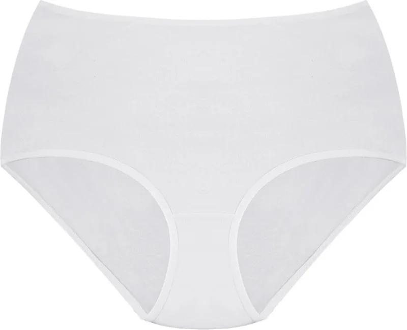 Arma Yıldız Arma Star Women's Panties High Waist Bato Cotton 4-Pack Colorful