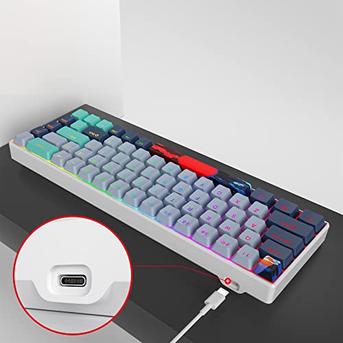 Owpkeenthy 65 Percent Mechanical Gaming Keyboard Hammerhead Shark with Red Switch Ultra Compact RGB Wired 60% Gaming Keyboard N-Key Rollover for PC Gamer Box PS - Image 5