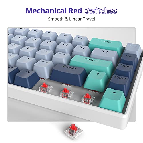 Owpkeenthy 65 Percent Mechanical Gaming Keyboard Hammerhead Shark with Red Switch Ultra Compact RGB Wired 60% Gaming Keyboard N-Key Rollover for PC Gamer Box PS - Image 4