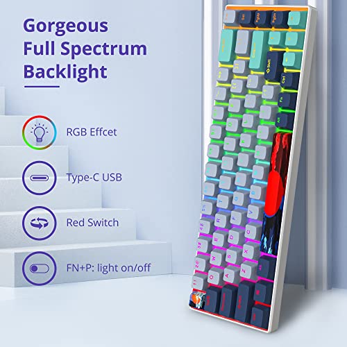 Owpkeenthy 65 Percent Mechanical Gaming Keyboard Hammerhead Shark with Red Switch Ultra Compact RGB Wired 60% Gaming Keyboard N-Key Rollover for PC Gamer Box PS - Image 3