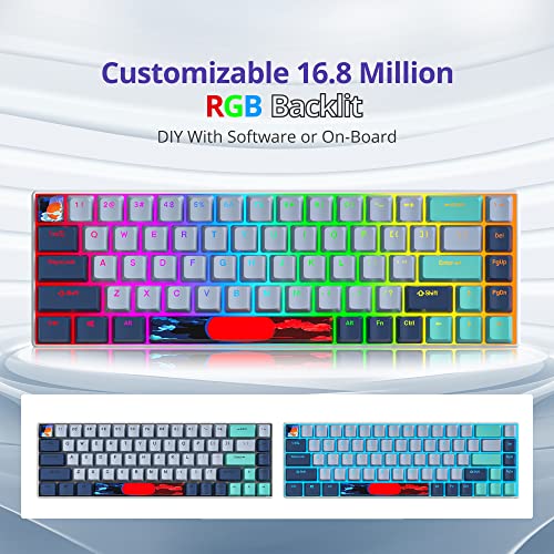 Owpkeenthy 65 Percent Mechanical Gaming Keyboard Hammerhead Shark with Red Switch Ultra Compact RGB Wired 60% Gaming Keyboard N-Key Rollover for PC Gamer Box PS - Image 2