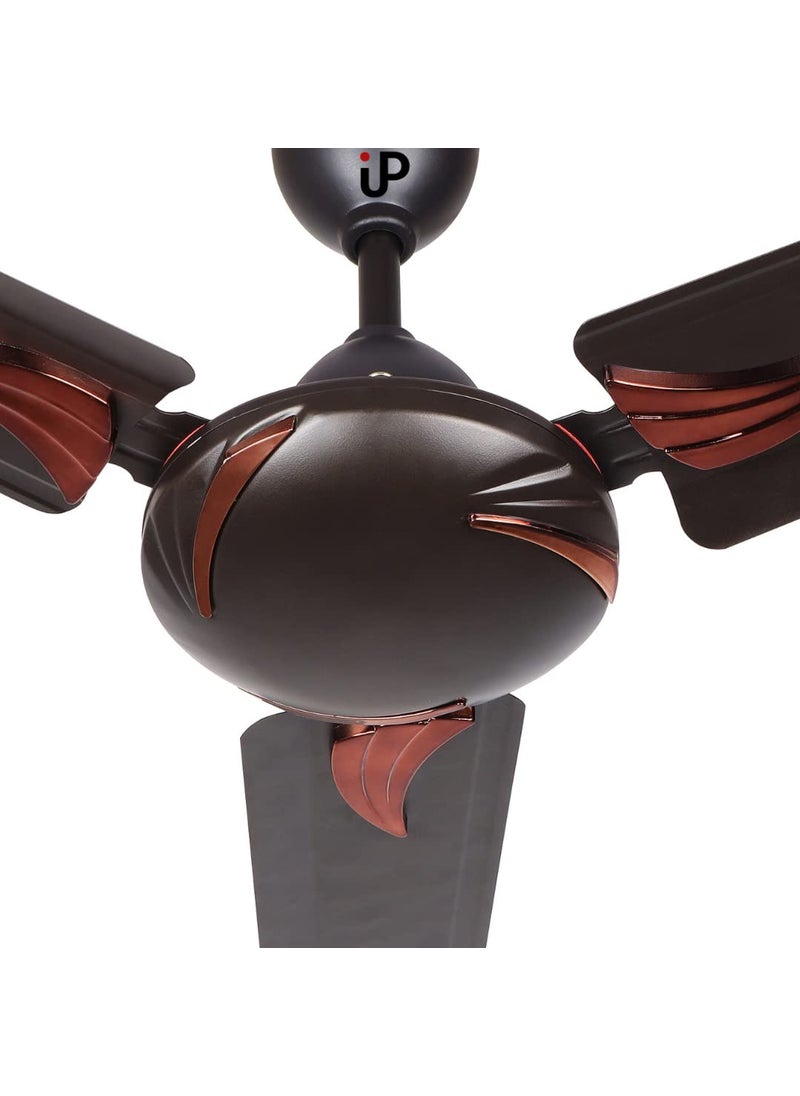 UltinoPro UltinoPro ULTINOPRO HighSpeed Ceiling Fan 48inch 1200mm 5Star 2Year Warranty Fiesta 48 Inch  - Image 4