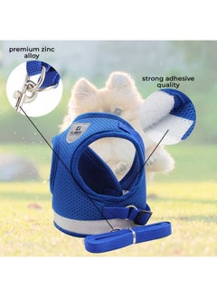 Kuber Industries Dog Harness With Adjustable Leash|Breathable Polyester Mesh Fabric |Small Size|Ht-844|Comfortable No-Pull Grip|Quick Release Buckles|Blue  - Image 5