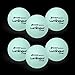 Champion Sports Premium Rhino Skin Dodgeballs with Mesh Storage Bag Set of 6 Glow in the Dark Playground Balls for Outdoor Games and Gym Class Low Bounce Dodgeballs - Image 3