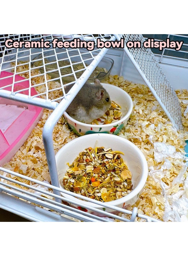 هامليدي عبوة من 2 وعاء طعام للهامستر، وعاء طعام وماء سيراميك للحيوانات الصغيرة يمنع الانقلاب والحركة، مناسب لخنزير غينيا والجربوع والشنشيلة والقنفذ والجرذ (اللون: أرجواني + أزرق) - Image 3