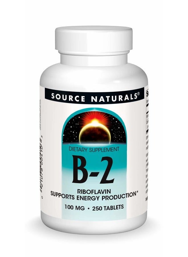 Source Naturals Vitamin B-2 Riboflavin 100 mg Supports Energy Production - 250 Tablets - Image 1