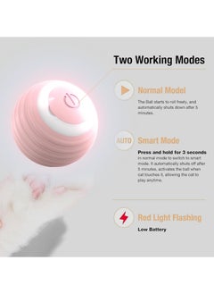 كرة لعبة قطط تفاعلية، كرة ذكية للعب القطط الصغيرة داخل المنزل، ألعاب قطط هدية لقطتك (وردي) - pzsku/Z68D980D190CA51D5849BZ/45/_/1731655354/71ace9d4-0420-4589-972c-906b599050b0