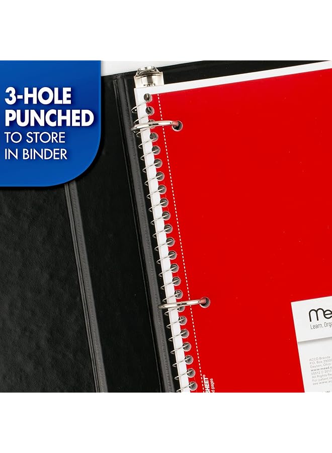 إيروريكس دفاتر حلزونية، عبوة من 12 ورقة مسطرة، موضوع واحد، مقاس 25.6 سم × 20.3 سم، 70 ورقة لكل دفتر، قد يختلف اللون 73703 - Image 5