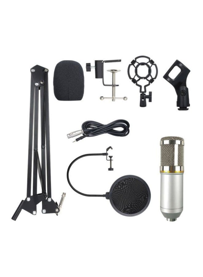 NIBEMINENT Professional Suspension Microphone Kit BM800 Silver/Black - Image 1