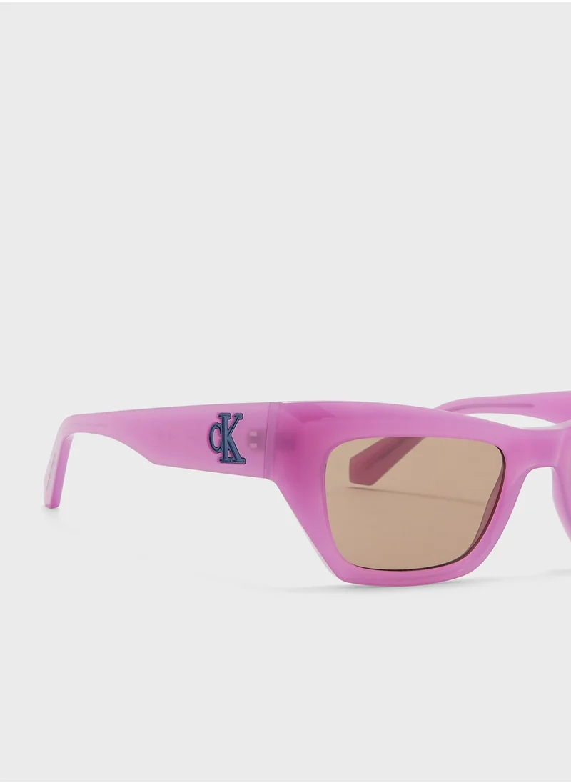 Calvin Klein Jeans Butterfly Sunglasses