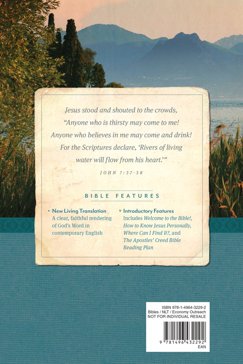 الكتاب المقدس، إصدار الاقتصاد للتواصل، طباعة كبيرة، NLT (غلاف ناعم) - Image 2