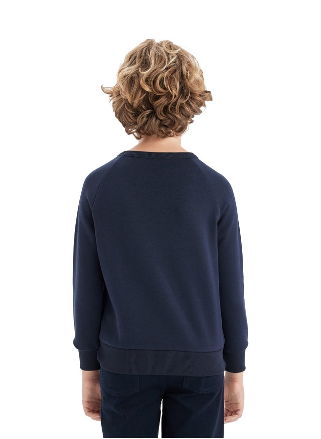 DeFacto Boy Regular Fit Crew Neck Long Sleeve Knitted Sweat Shirt  - Image 4