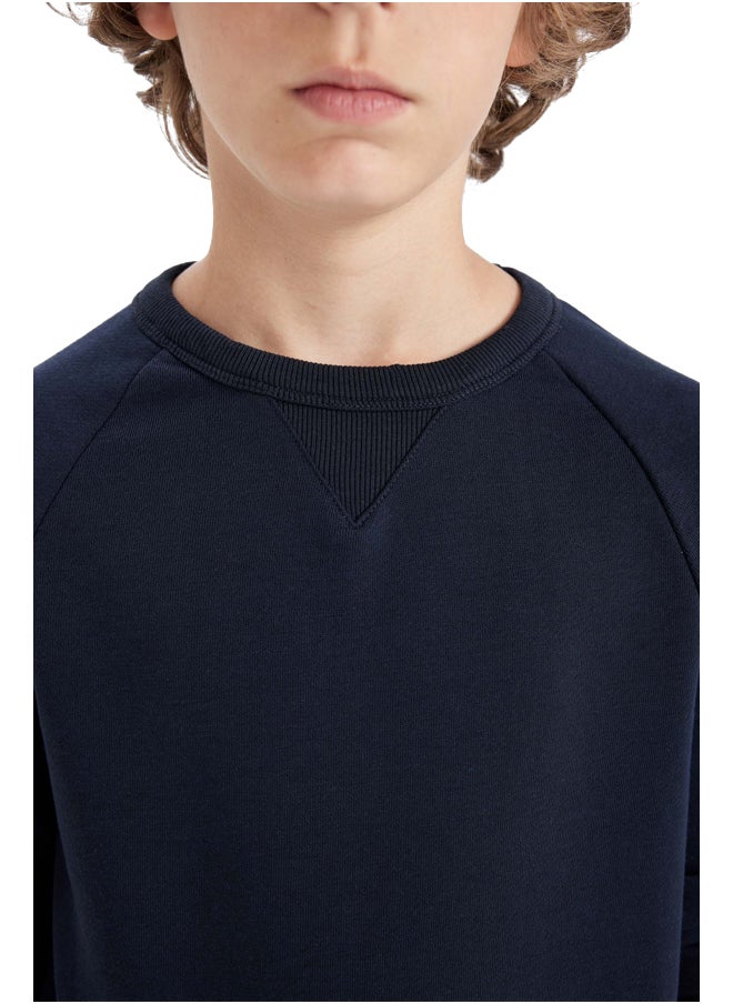 DeFacto Boy Regular Fit Crew Neck Long Sleeve Knitted Sweat Shirt  - Image 5