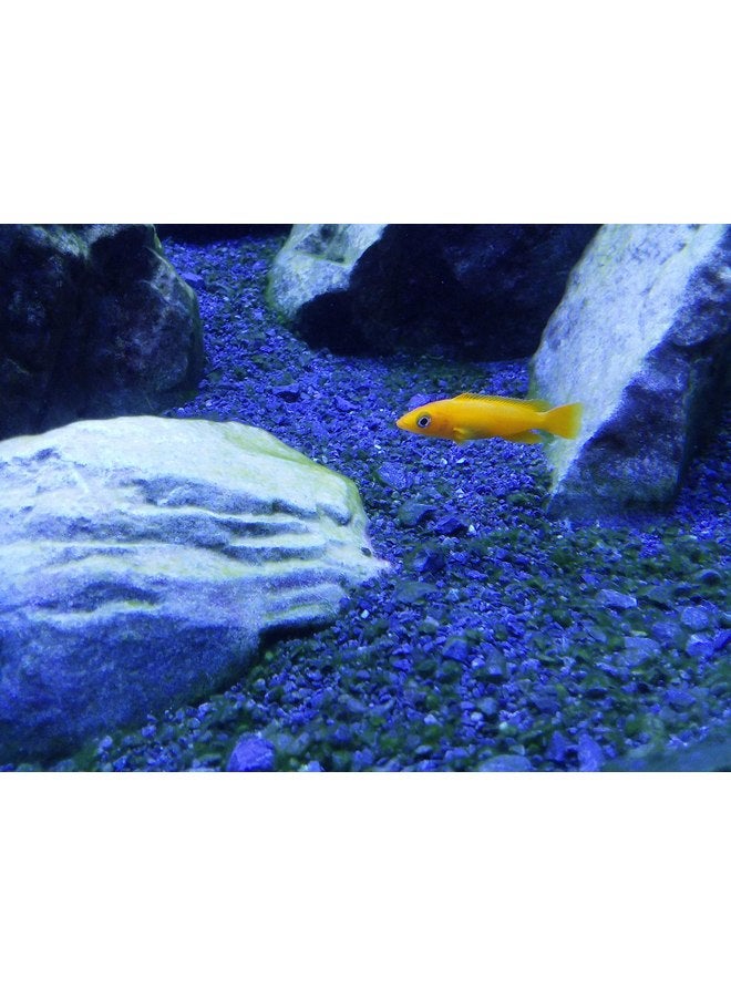 سي تشيم سيتشيم تنجانيقا عازلة 1 كيلو - Image 3