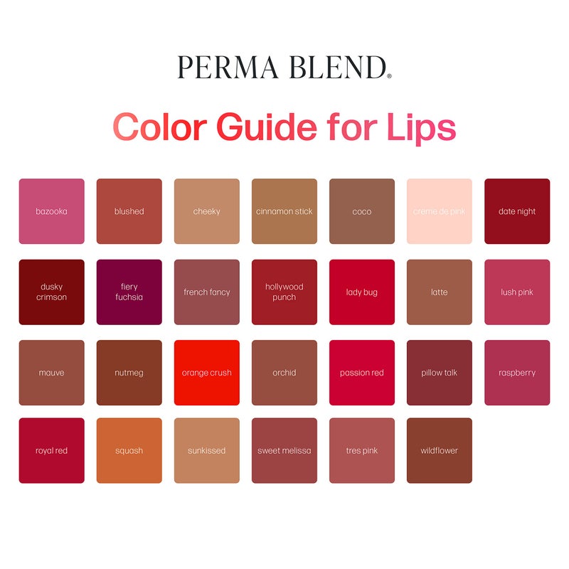 Perma Blend مجموعة حبر تاتو بيرما بليند موف ووردي - مجموعة ميكروبليدنج لشفاه - مستلزمات تاتو لـ PMU - تشمل وايلد فلاور، موف و فرنسي فانتسي لشفاه - نباتي (0.5 أونصة لكل منها) - Image 4
