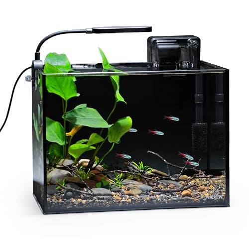 NICREW 2.5 Gallon Nano Nature Aquarium Kit, Ultra-Clear Rimless Desktop Fish Tank with Light, Filter, Gravel and Rock, Perfect for Small Fish, Shrimp, or Betta, Complete Version, Black - Image 1