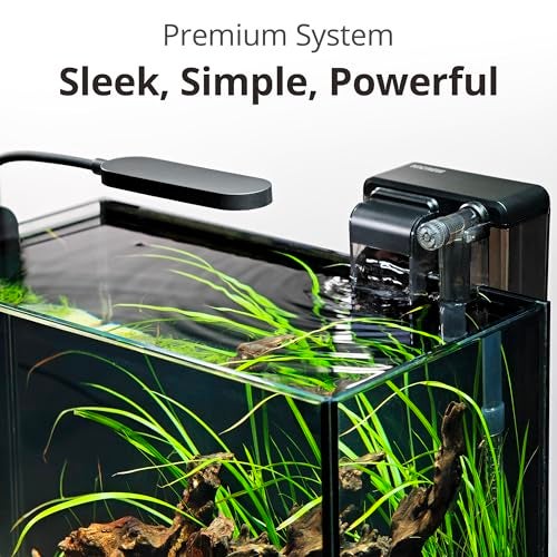 NICREW 2.5 Gallon Nano Nature Aquarium Kit, Ultra-Clear Rimless Desktop Fish Tank with Light, Filter, Gravel and Rock, Perfect for Small Fish, Shrimp, or Betta, Complete Version, Black - Image 4