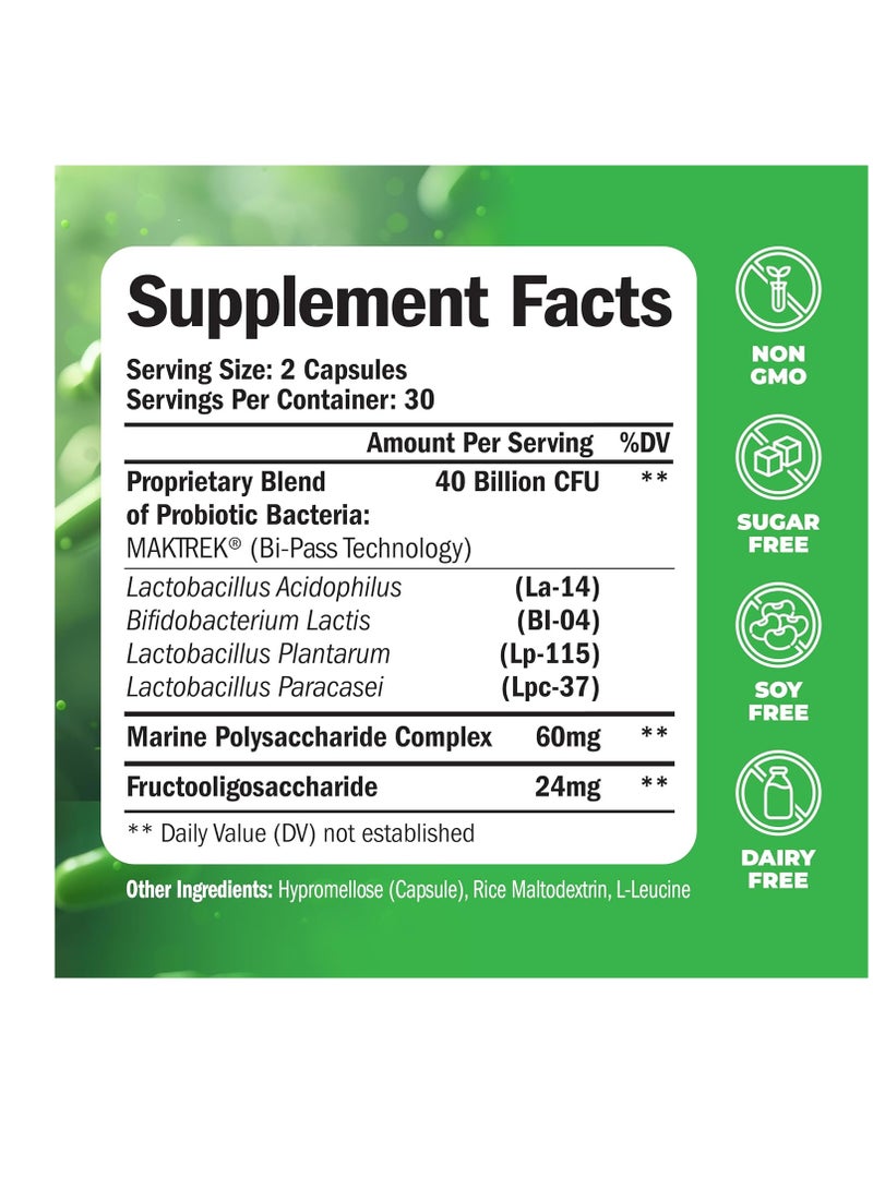 Vimerson Health Probiotics 40 Billion CFU Supplement - Helps Improve Digestive, Urinary and Immune Health. Promotes Positive Probiotic Balance and Optimal Nutrient Absorption. Supports Immune System. Gluten Free - Image 2