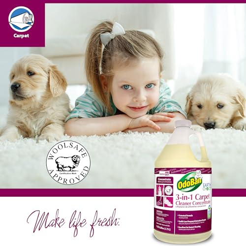 OdoBan Professional 3-in-1 Carpet Cleaner Concentrate, Made in the USA, 1 Gallon - Image 2