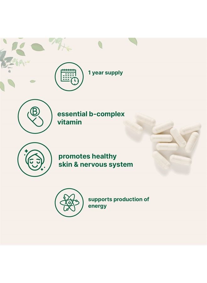 Micro Ingredients مكمل حمض البانتوثنيك فيتامين ب5، فيتامين ب5 500 ملغ لكل عدد، 365 كبسولة (إمداد لمدة سنة)، فيتامين ب المركب، دعم إنتاج الطاقة والجهاز العصبي، غير معدل وراثيًا - Image 3