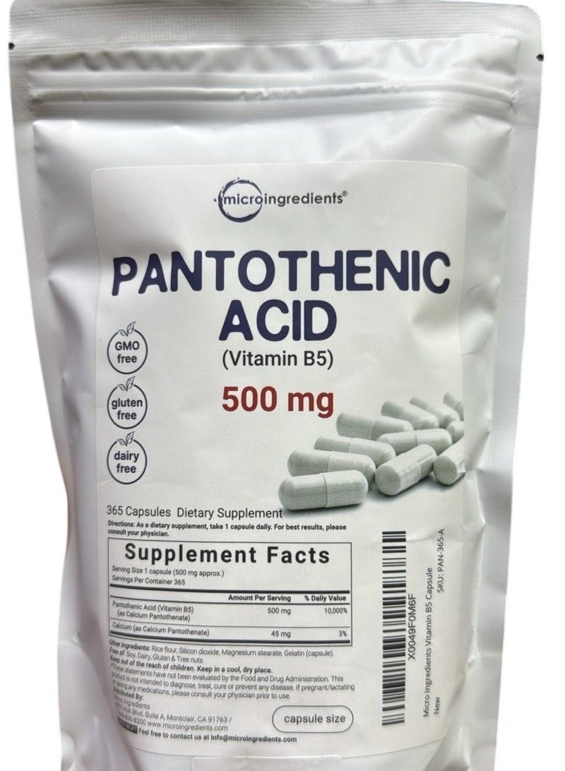 Micro Ingredients مكمل حمض البانتوثنيك فيتامين ب5، فيتامين ب5 500 ملغ لكل عدد، 365 كبسولة (إمداد لمدة سنة)، فيتامين ب المركب، دعم إنتاج الطاقة والجهاز العصبي، غير معدل وراثيًا - Image 1