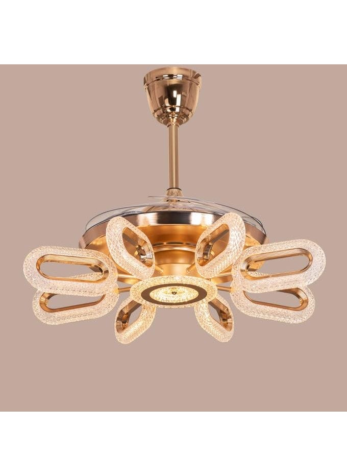 Decor Chronicle Decor Chronicle Gold Ceiling Fan for Living Room BLDC Fan with Remote Control 4 Retractable ABS Blades Smart Fan for Home Warm White Natural White Cold White  - Image 3
