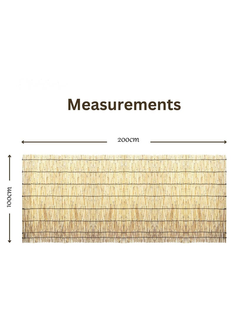 HOME TASTE Hometaste 2 Pieces Natural Reed Fencing,Garden Fence,Privacy Fence Panels For Backyard Or Patio, Highly Dense Whole Reed Peeled Canes Fence Panels  - Image 2